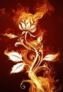 Bìa truyện Tình Ngang Trái - Đản Đản 1113