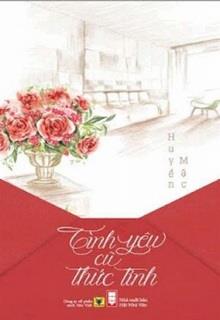 Bìa truyện Tình Yêu Cũ Thức Tỉnh - Huyền Mặc