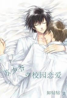 Bìa truyện Tình Yêu Vườn Trường Của Tô Kim Lâm - Như Toàn Toàn
