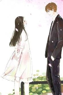 Bìa truyện Tô Tô