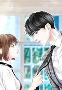 Bìa truyện Tổng Giám Đốc Truy Thê Bị Từ Chối 99 Lần - Hạ Y