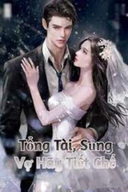 Bìa truyện Tổng Tài, Sủng Vợ Hãy Tiết Chế