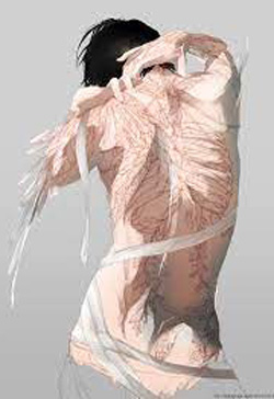 Bìa truyện Tránh Sủng - Cáp Khiếm Huynh