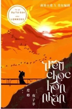 Bìa truyện Trêu Chọc Hôn Nhân - Dạ Tử Sân