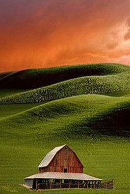 Bìa truyện Trị Liệu - Nhập Loạn