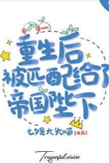 Bìa truyện Trọng Sinh Được Ghép Đôi Với Bệ Hạ Đế Quốc - Thất Tịch Thị Đại Đầu Miêu