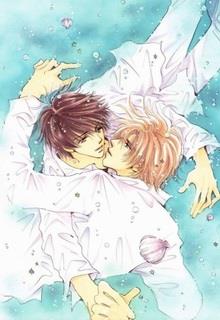 Bìa truyện Trùng Sinh Chi Si Tửu Hữu Diễn - Diễm Diễm Thiêu Không Hồng Phật Tang