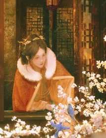 Bìa truyện Tuế Tuế An