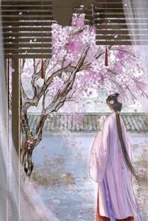 Bìa truyện Từng Là Bóng Dáng Kinh Hồng Thoáng Qua