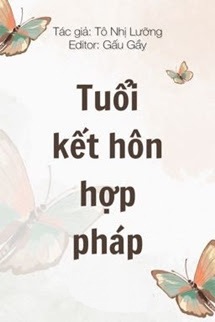 Bìa truyện Tuổi Kết Hôn Hợp Pháp - Tô Nhị Lưỡng