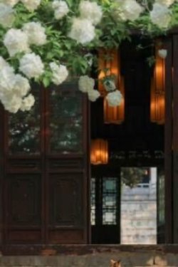 Bìa truyện Tường Hoa Năm Ấy