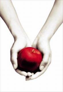 Bìa truyện Twilight Series Tập 1: Chạng Vạng - Stephenie Meyer