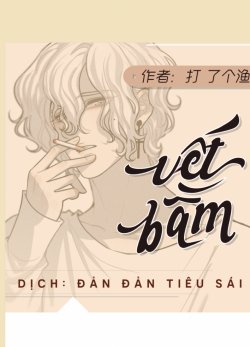 Bìa truyện Vết Bầm