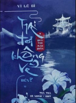 Bìa truyện Vì Lẽ Gì Hai Đời Không Về Đến?
