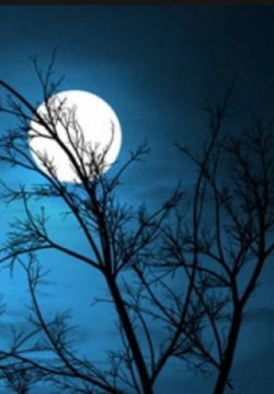 Bìa truyện Vì Người Mà Viết Ánh Trăng