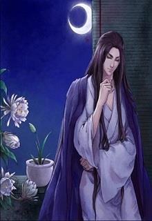 Bìa truyện Vĩnh Thặng Hoàng Triều Hệ Liệt – Phiến Trung Tình Duyên - Phiền Lạc