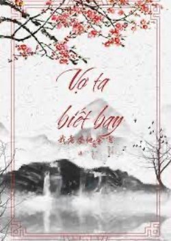 Bìa truyện Vợ Ta Biết Bay