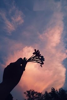 Bìa truyện Vô Thanh Thoái Tràng - Zhihu