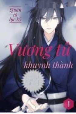 Bìa truyện Vương Tử Khuynh Thành