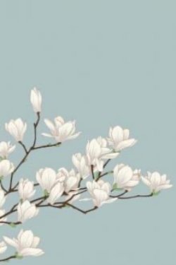 Bìa truyện Xuân Dã - Xảo Khắc Lực A Hoa Điềm