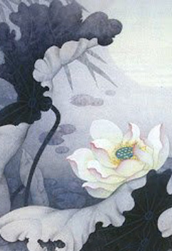 Bìa truyện Xuyên Nhanh: Nữ Đế Giá Đáo, Cường Thế Liêu - Hắc Bạch Hôi Cô Nương