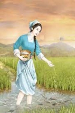 Bìa truyện Xuyên Sách Cổ Đại Điền Văn Nữ Phụ - Đào Hoa Dẫn