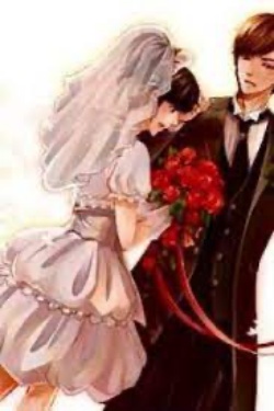 Bìa truyện Xuyên Sách Làm Nữ Phụ Số Tàn