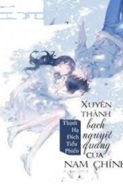 Bìa truyện Xuyên Thành Bạch Nguyệt Quang Của Nam Chính - Thịnh Hạ Đích Tiểu Phiến