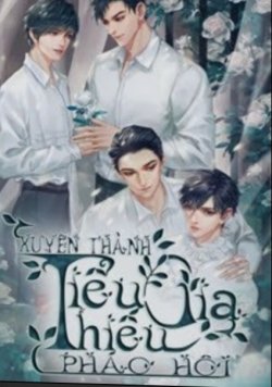 Bìa truyện Xuyên Thành Tiểu Thiếu Gia Pháo Hôi